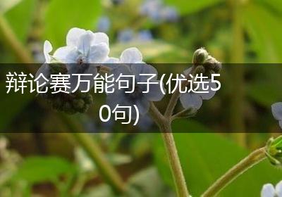 辩论赛万能句子(优选50句)