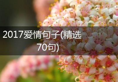 2017爱情句子(精选70句)