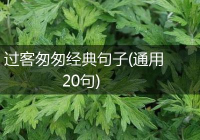 过客匆匆经典句子(通用20句)