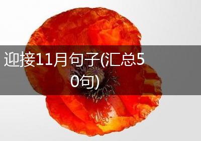 迎接11月句子(汇总50句)