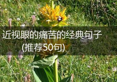 近视眼的痛苦的经典句子(推荐50句)