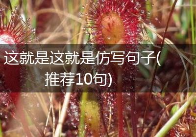 这就是这就是仿写句子(推荐10句)