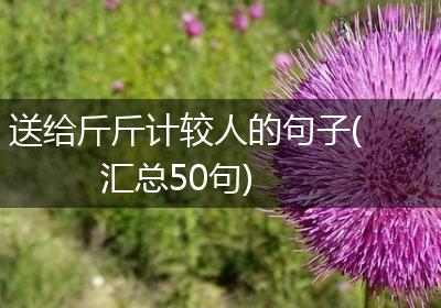 送给斤斤计较人的句子(汇总50句)