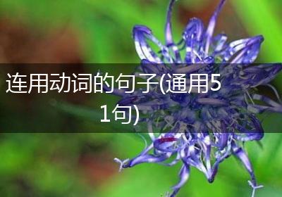 连用动词的句子(通用51句)
