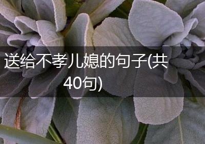 送给不孝儿媳的句子(共40句)