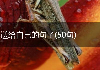 送给自己的句子(50句)