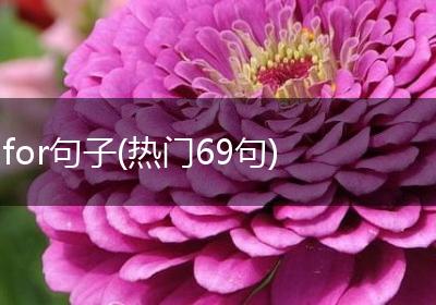 for句子(热门69句)