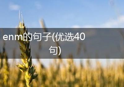 enm的句子(优选40句)