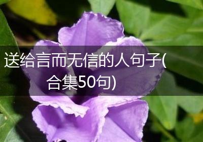 送给言而无信的人句子(合集50句)