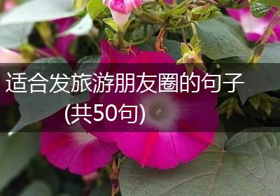 适合发旅游朋友圈的句子(共50句)