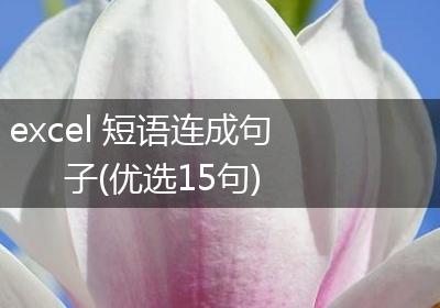 excel 短语连成句子(优选15句)