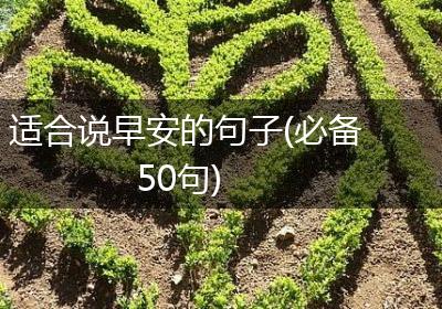 适合说早安的句子(必备50句)