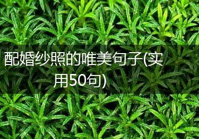 配婚纱照的唯美句子(实用50句)