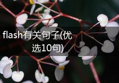 flash有关句子(优选10句)