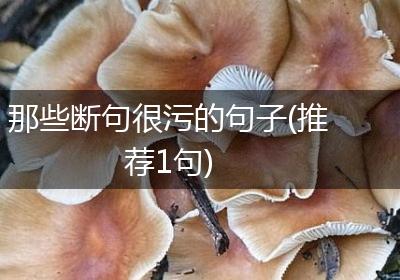 那些断句很污的句子(推荐1句)