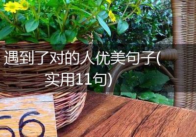 遇到了对的人优美句子(实用11句)