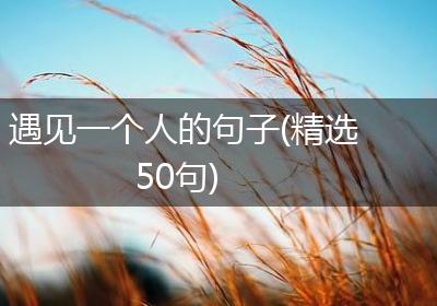 遇见一个人的句子(精选50句)