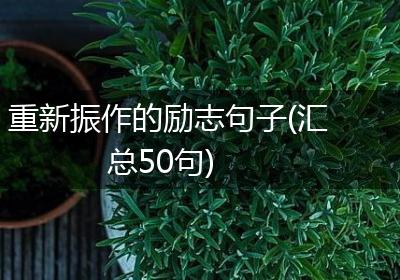 重新振作的励志句子(汇总50句)