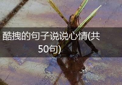 酷拽的句子说说心情(共50句)