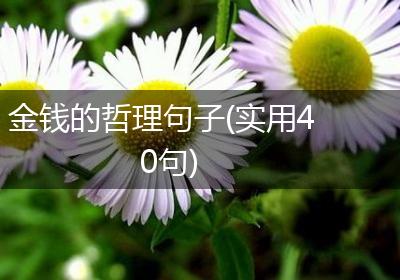 金钱的哲理句子(实用40句)