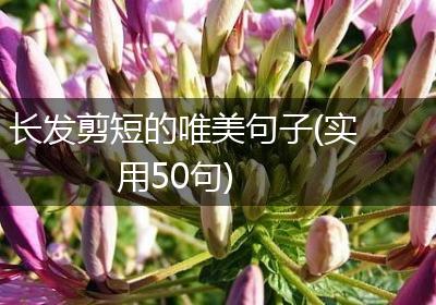 长发剪短的唯美句子(实用50句)