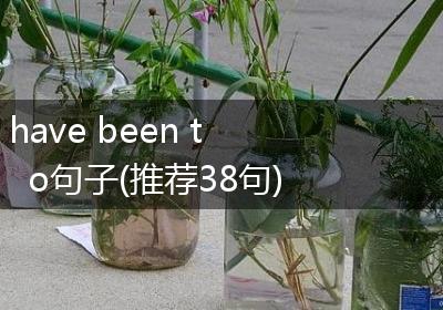 have been to句子(推荐38句)