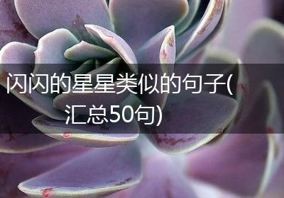 闪闪的星星类似的句子(汇总50句)