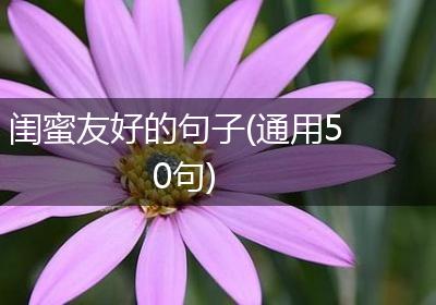 闺蜜友好的句子(通用50句)
