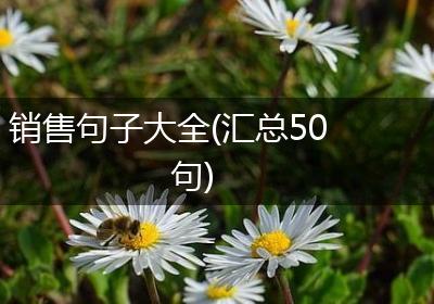 销售句子大全(汇总50句)
