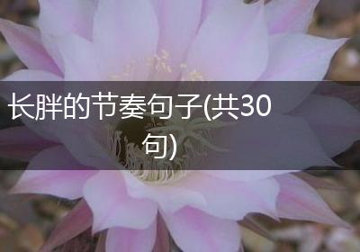 长胖的节奏句子(共30句)
