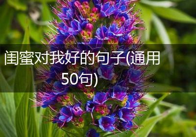 闺蜜对我好的句子(通用50句)