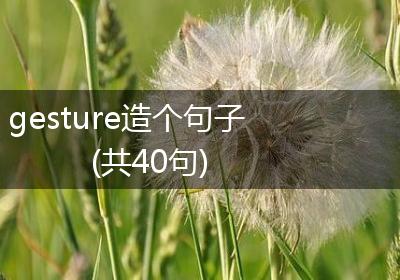 gesture造个句子(共40句)