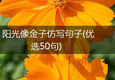 阳光像金子仿写句子(优选50句)