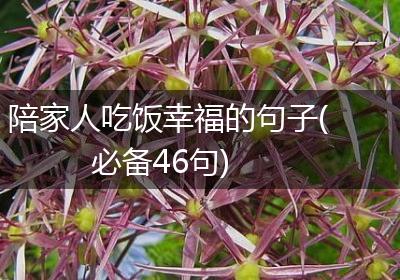 陪家人吃饭幸福的句子(必备46句)