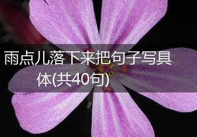 雨点儿落下来把句子写具体(共40句)