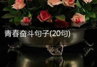 青春奋斗句子(20句)