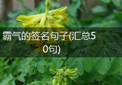 霸气的签名句子(汇总50句)