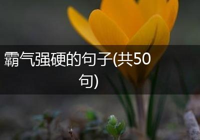 霸气强硬的句子(共50句)