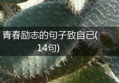 青春励志的句子致自己(14句)