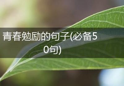 青春勉励的句子(必备50句)