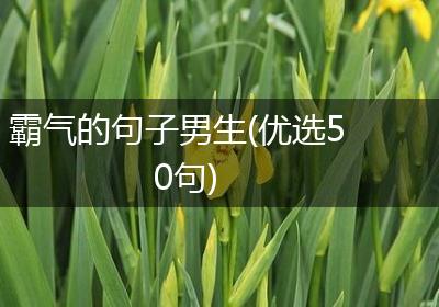 霸气的句子男生(优选50句)