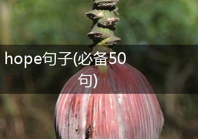 hope句子(必备50句)