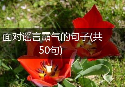 面对谣言霸气的句子(共50句)
