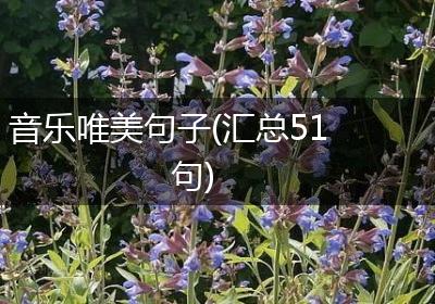 音乐唯美句子(汇总51句)