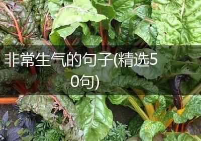 非常生气的句子(精选50句)