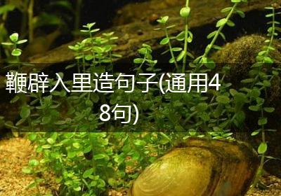 鞭辟入里造句子(通用48句)