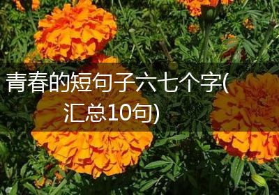 青春的短句子六七个字(汇总10句)