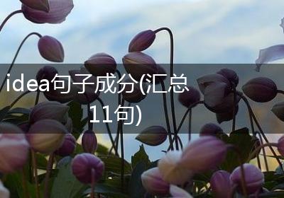 idea句子成分(汇总11句)