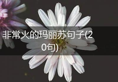 非常火的玛丽苏句子(20句)