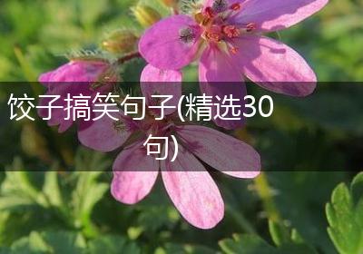 饺子搞笑句子(精选30句)